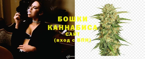 стафф Медногорск