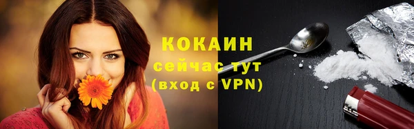 стафф Медногорск
