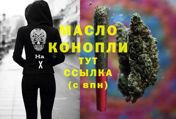spice Михайлов