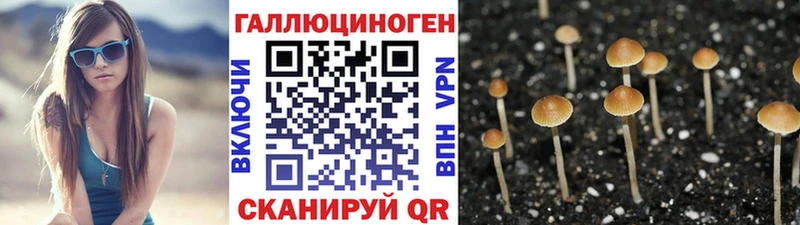 Галлюциногенные грибы GOLDEN TEACHER  Опочка 